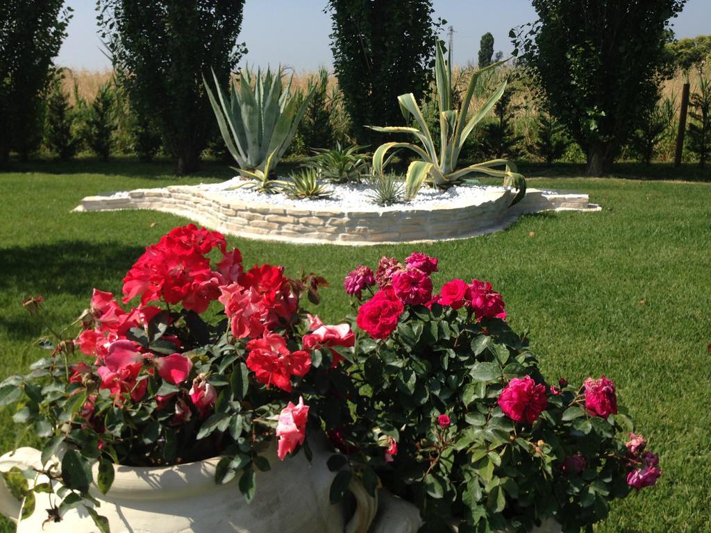 Hotel Bussana Порто-Толле Экстерьер фото