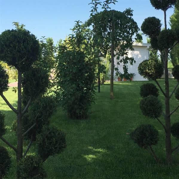 Hotel Bussana Порто-Толле Экстерьер фото